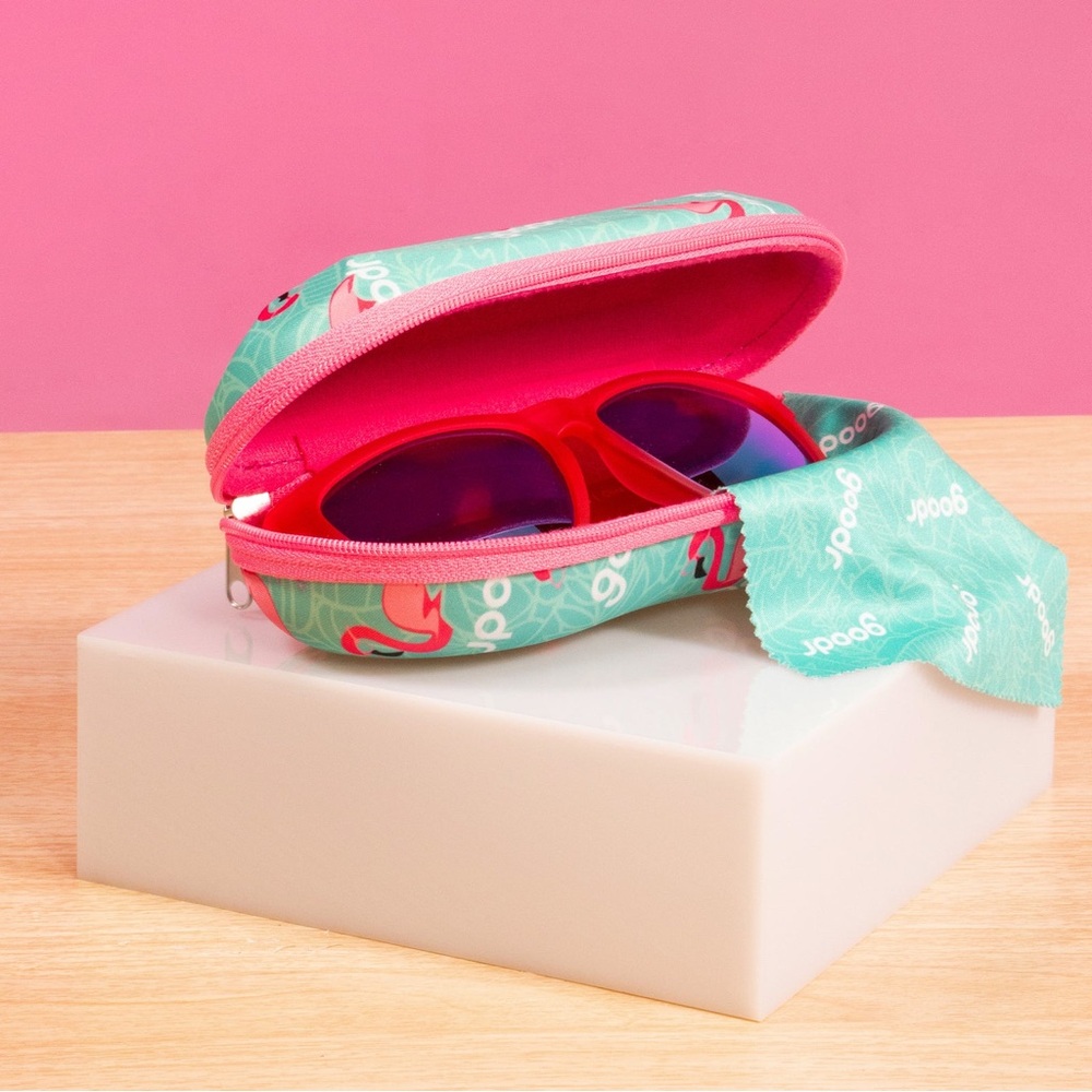 Goodr Hard Case NWT